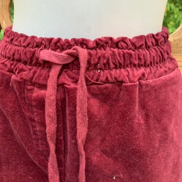 VENTI6 Burgundy Velour Animal Print Stripe Pants - Picture 2 of 4